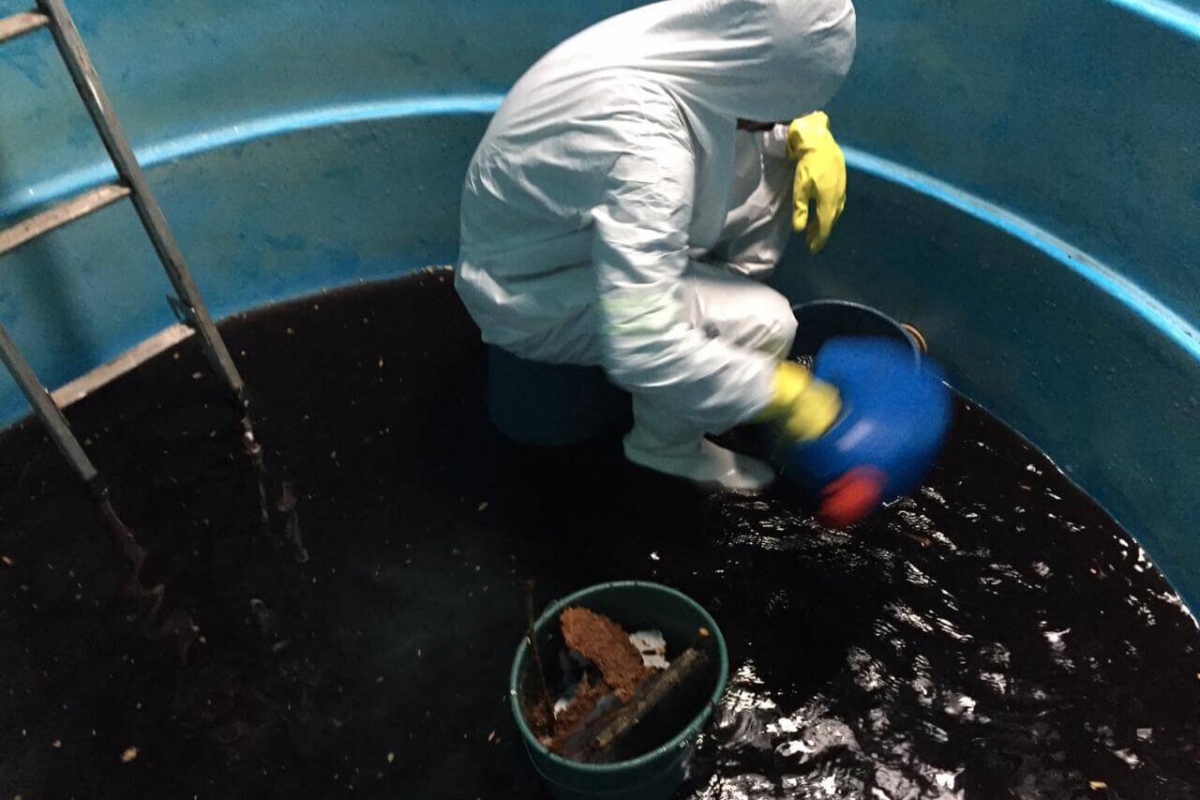 Serviços de Limpeza de Caixa D'Água Serviços de Limpeza de Caixa D'Água
