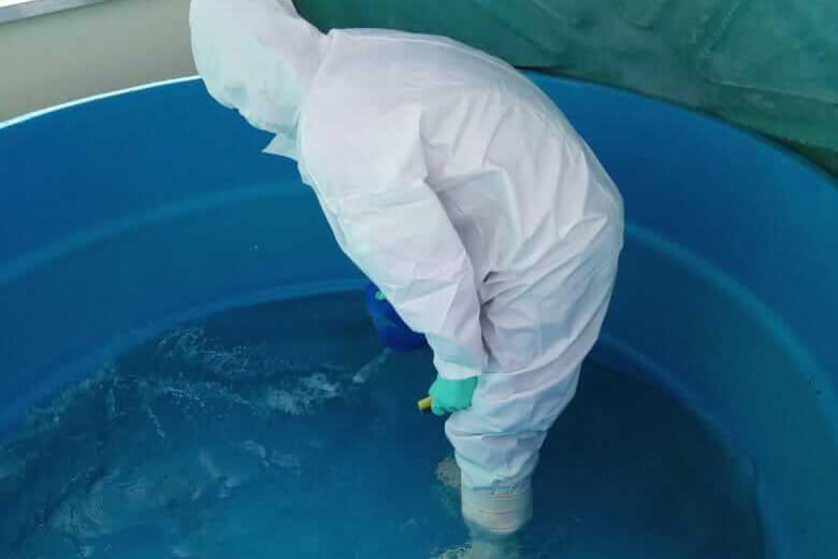 Serviços de Limpeza de Caixa D'Água Serviços de Limpeza de Caixa D'Água