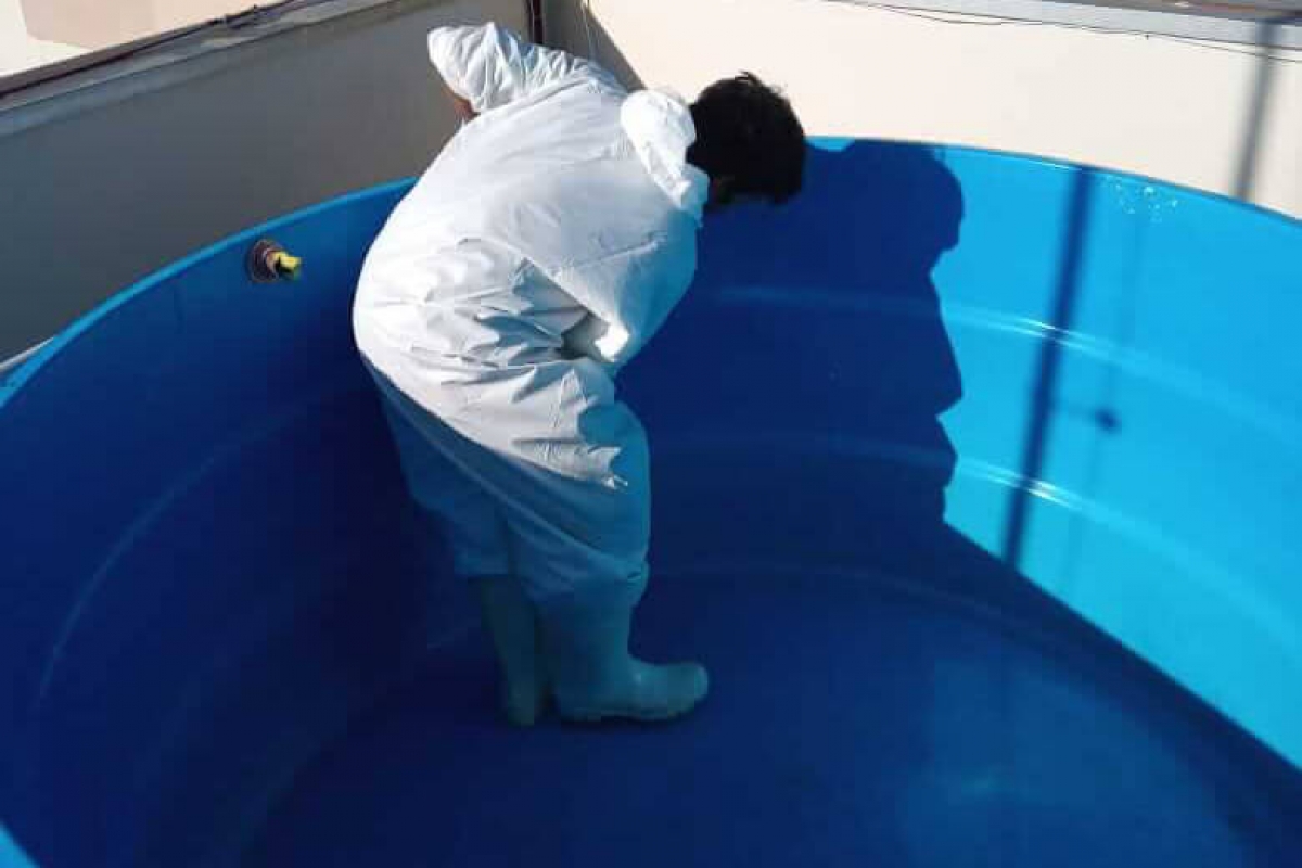 Serviços de Limpeza de Caixa D'Água Serviços de Limpeza de Caixa D'Água